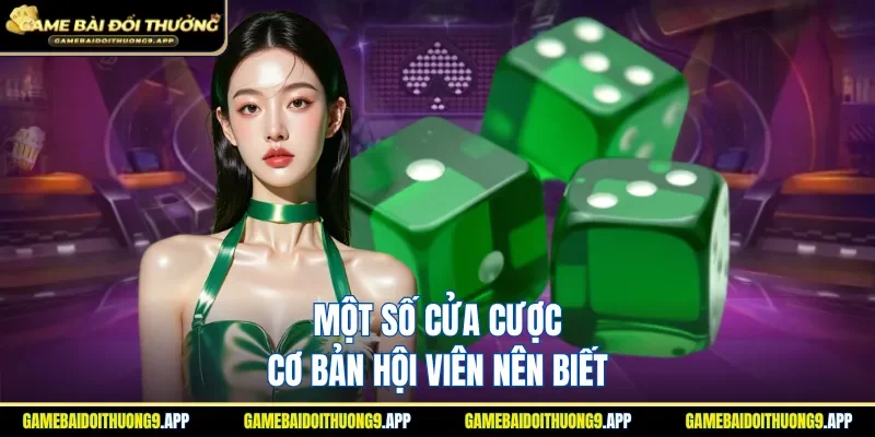Lựa chọn cược của trò chơi siêu đa dạng