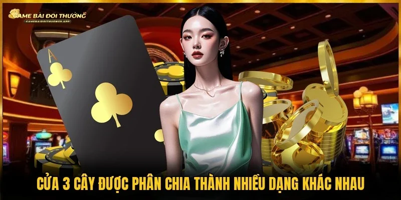 Có nhiều dạng khác nhau với cửa 3 cây