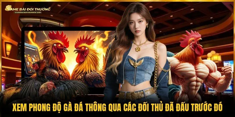 Thông qua các đối thủ đã đấu trước đó để xem phong độ gà đá